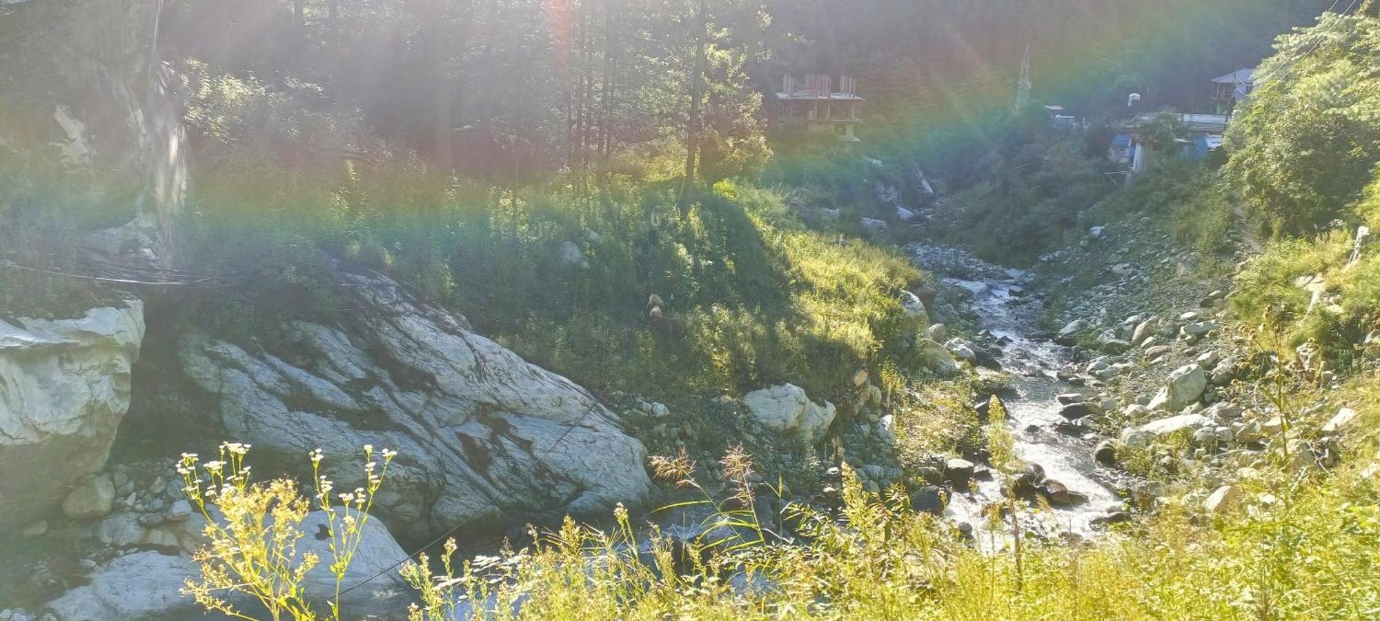 Dog N Hill Ξενοδοχείο Kasol Εξωτερικό φωτογραφία
