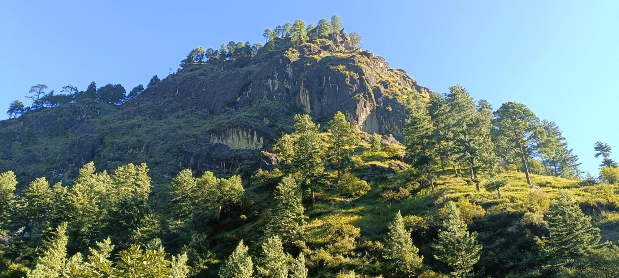 Dog N Hill Ξενοδοχείο Kasol Εξωτερικό φωτογραφία